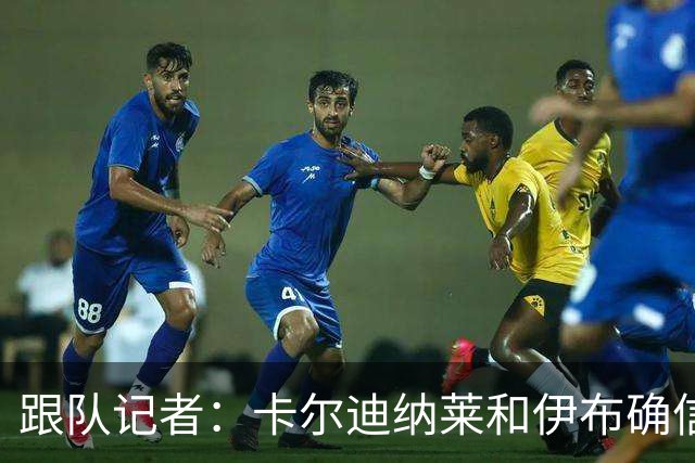 跟队记者：卡尔迪纳莱和伊布确信会在10号前敲定米兰新帅